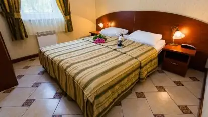 Hotel *** Ognisty Ptak - zdjęcie 19