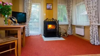 Hotel *** Ognisty Ptak - zdjęcie 27