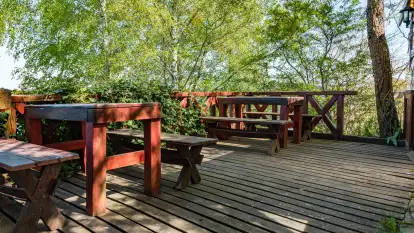 Domki w Starych Sadach - Marina Bajana - zdjęcie 66