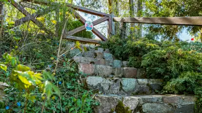 Domki w Starych Sadach - Marina Bajana - zdjęcie 71