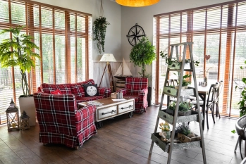 Nowa galeria - zdjęcie 15