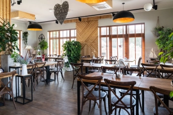 Nowa galeria - zdjęcie 16