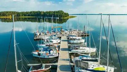 Apartamenty Marina Lester House - zdjęcie 7