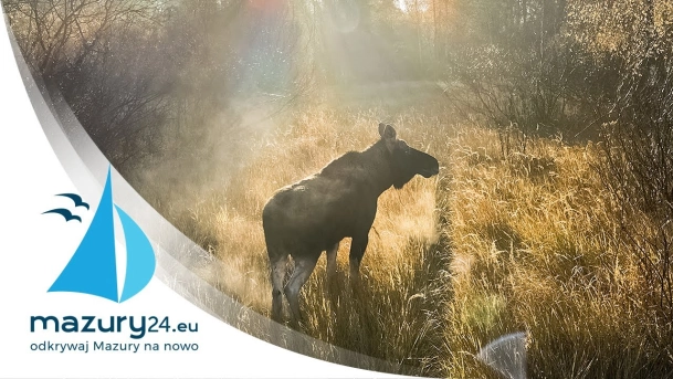 Za co kochamy Mazury jesienią, cz. II, 4K