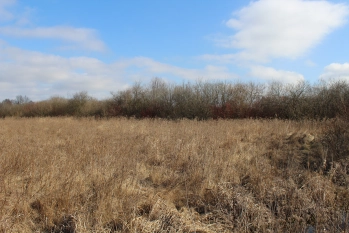 Działka rolna 4442 m2 blisko jeziora Białoławki - zdjęcie 13