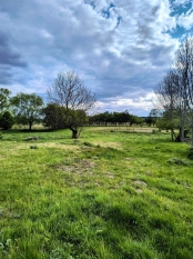 Działka siedliskowa w Zabielne 4 km od jeziora Roś - zdjęcie 2