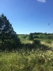 DZIAŁKA 29 ha GRZYBINY, DZIAŁDOWO, NIDZICA - zdjęcie 7