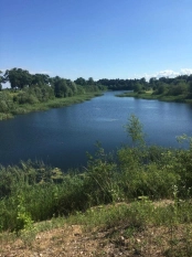 DZIAŁKA 29 ha GRZYBINY, DZIAŁDOWO, NIDZICA - zdjęcie 3