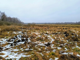 Działka rekreacyjna w Karwiku j. Seksty - zdjęcie 3