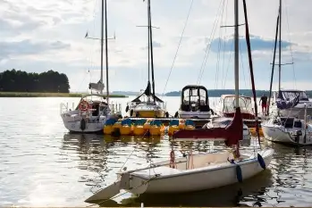 Bosman w porcie Hotelu Ognisty Ptak*** - zdjęcie 1
