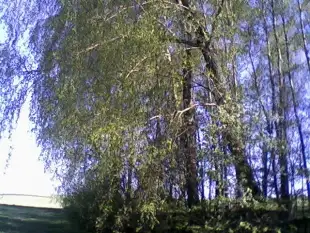 Działka z linią brzegową - zdjęcie 2