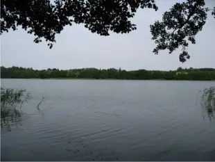 Działka z linią brzegową - zdjęcie 5