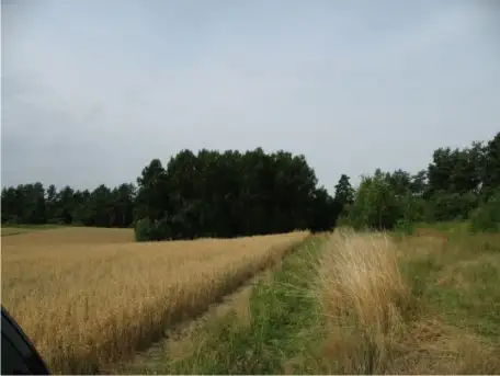 Działka z linią brzegową