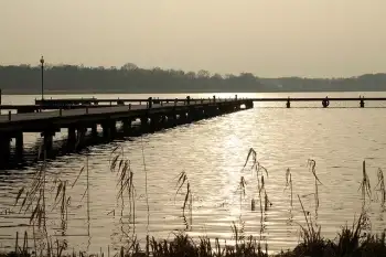 wykopy, wyburzenia, transport, pomosty - zdjęcie 2