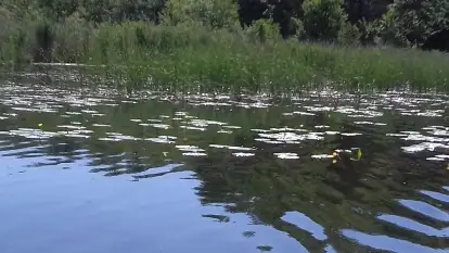 przyczepy kampingowe - zdjęcie 25