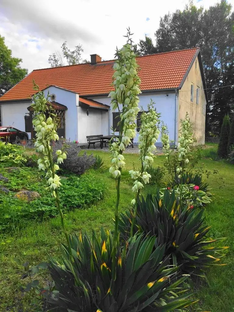Urocze siedlisko na Mazurach!