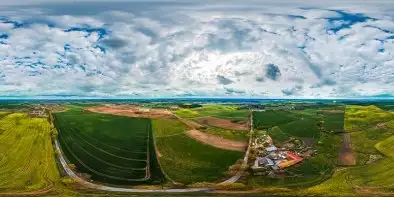 Pieczonki i pola rzepaku